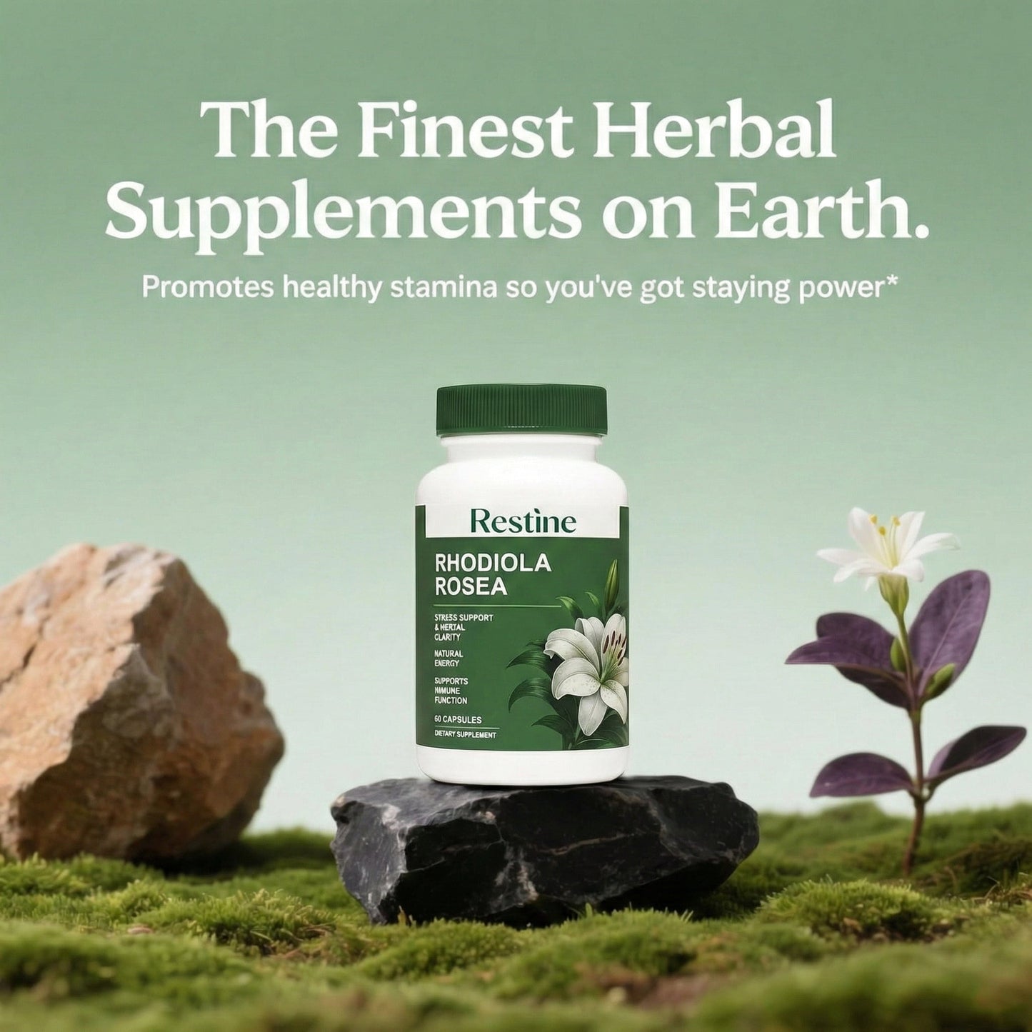 Restine® Rhodiola Rosea